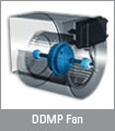 DDMP Fan